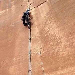 Meet your Posher, Libby